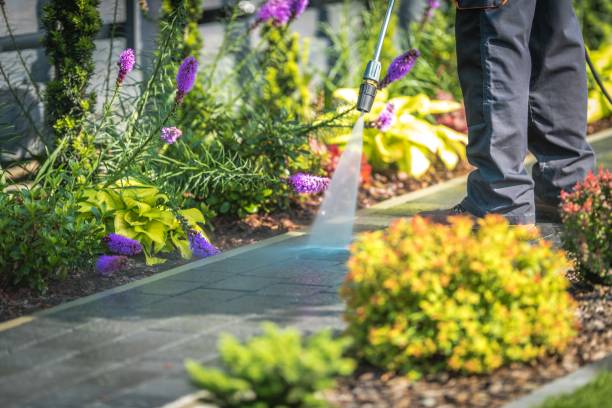 Best Restaurant Pressure Washing  in Colonia, NJ