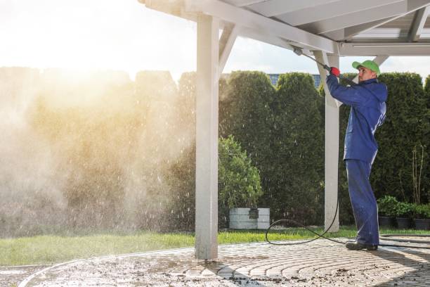 Best Building Exterior Washing  in Colonia, NJ